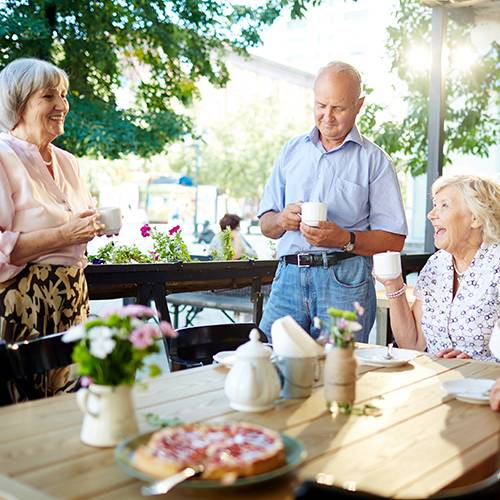 SE Mannheim Nord, Seniorinnen und Senioren